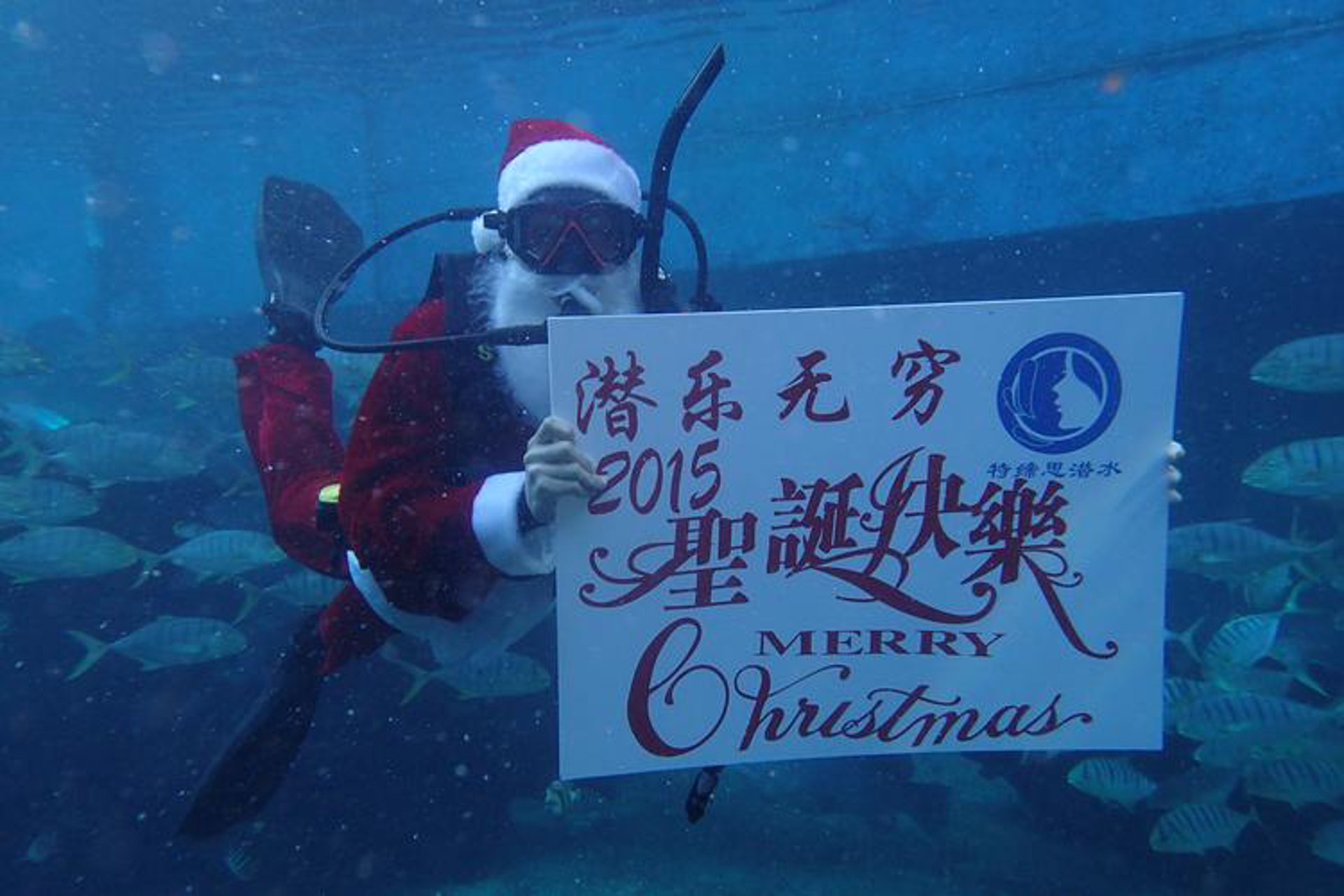 爱休潜水资讯